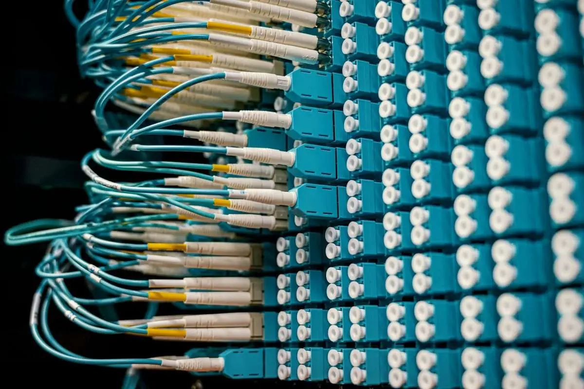 Close-up of a fiber optic patch panel featuring blue and white connectors arranged in rows.